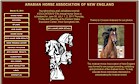Arabian Horse Associationof New England